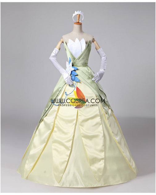 Princess tiana outlet costume for adults