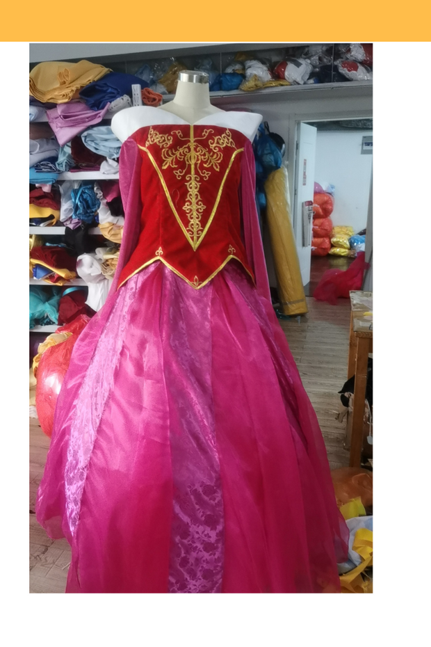 Princess Aurora Two Pieces Velvet Embroidered Sleeping Beauty Cosplay Costume