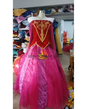 Princess Aurora Two Pieces Velvet Embroidered Sleeping Beauty Cosplay Costume