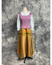 Cinderella Brocade Maid Cosplay Costume