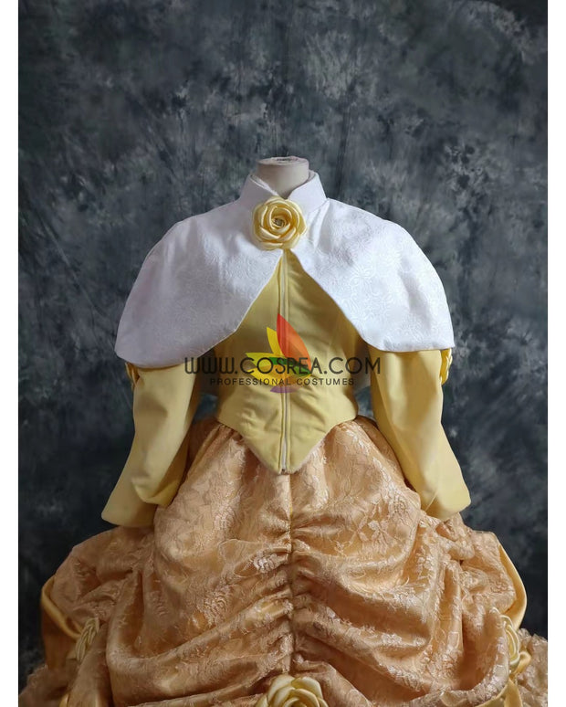 Princess Belle Velvet With Brocade Winter Beauty And Beast Cosplay Costume