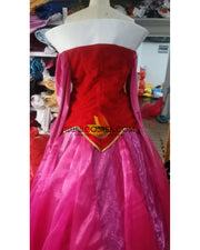 Princess Aurora Two Pieces Velvet Embroidered Sleeping Beauty Cosplay Costume