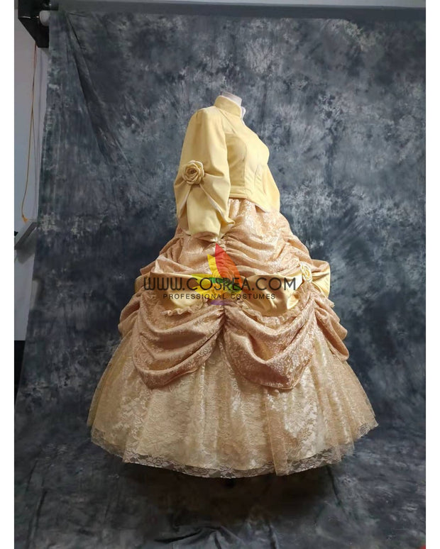 Princess Belle Velvet With Brocade Winter Beauty And Beast Cosplay Costume