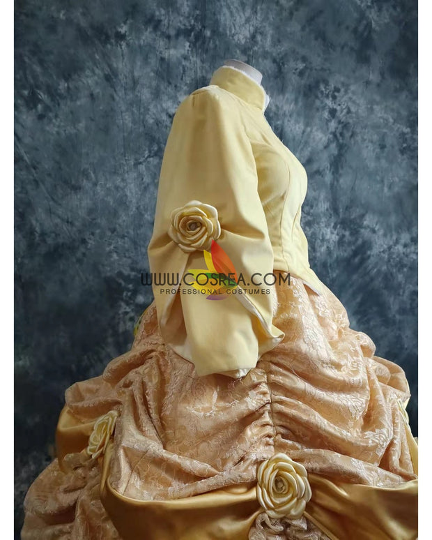 Princess Belle Velvet With Brocade Winter Beauty And Beast Cosplay Costume