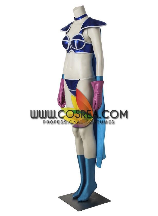 Dragon Ball Z Chi Chi Cosplay Costume - B Edition